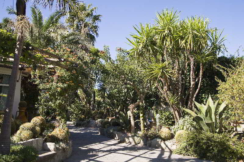 Park Hotel Terme Mediterraneo Forio di Ischia Buitenkant foto